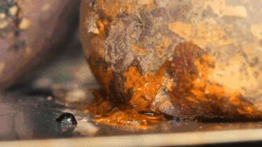 不知道地瓜有没有被老鼠咬过,烟薯被老鼠咬