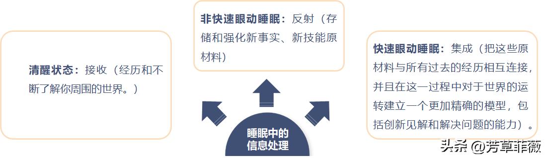 我们为什么要按时睡觉,你为什么每天都要睡觉