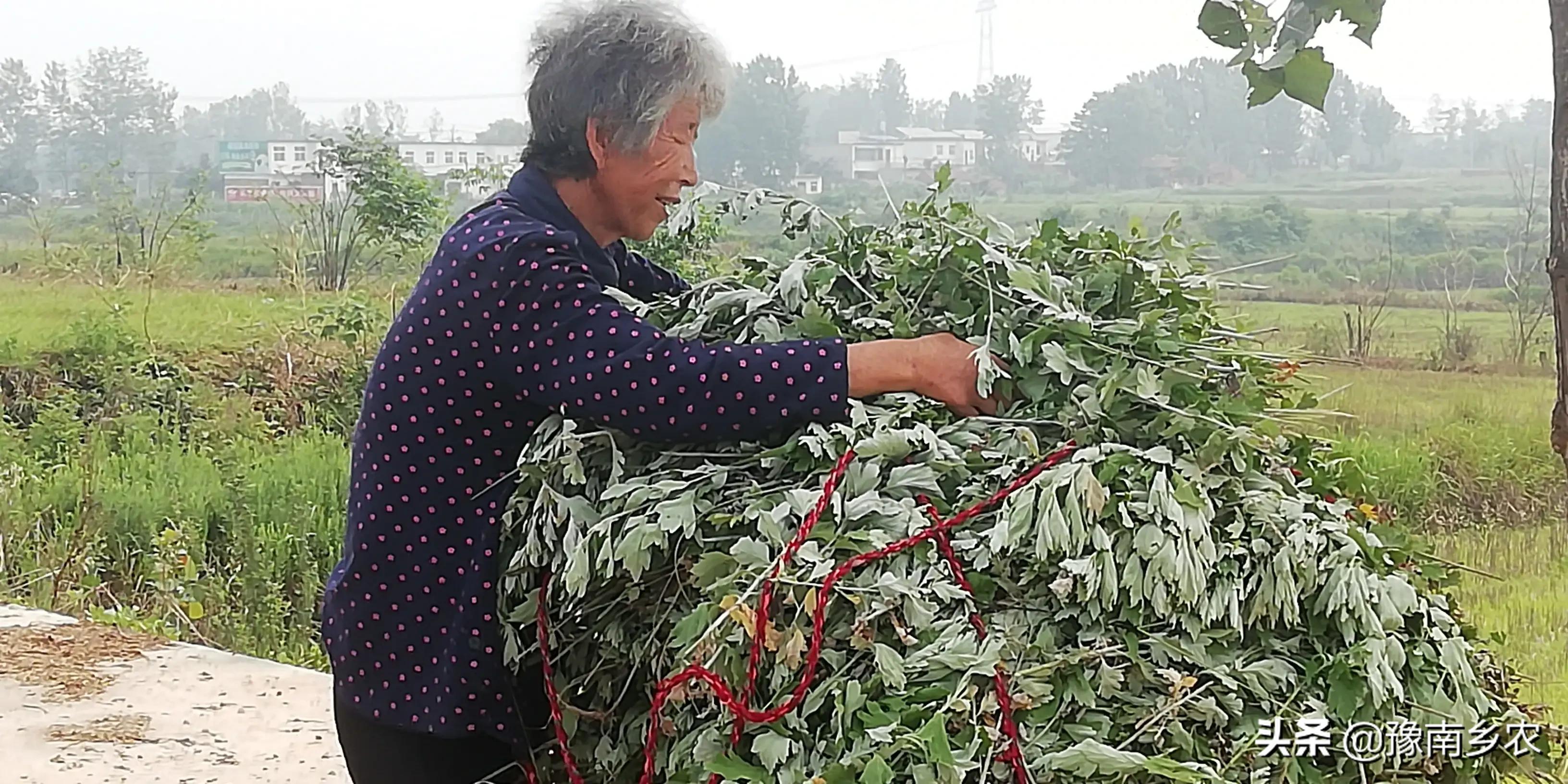 被子女们孝敬和喜欢的父母，大都有这三个特征