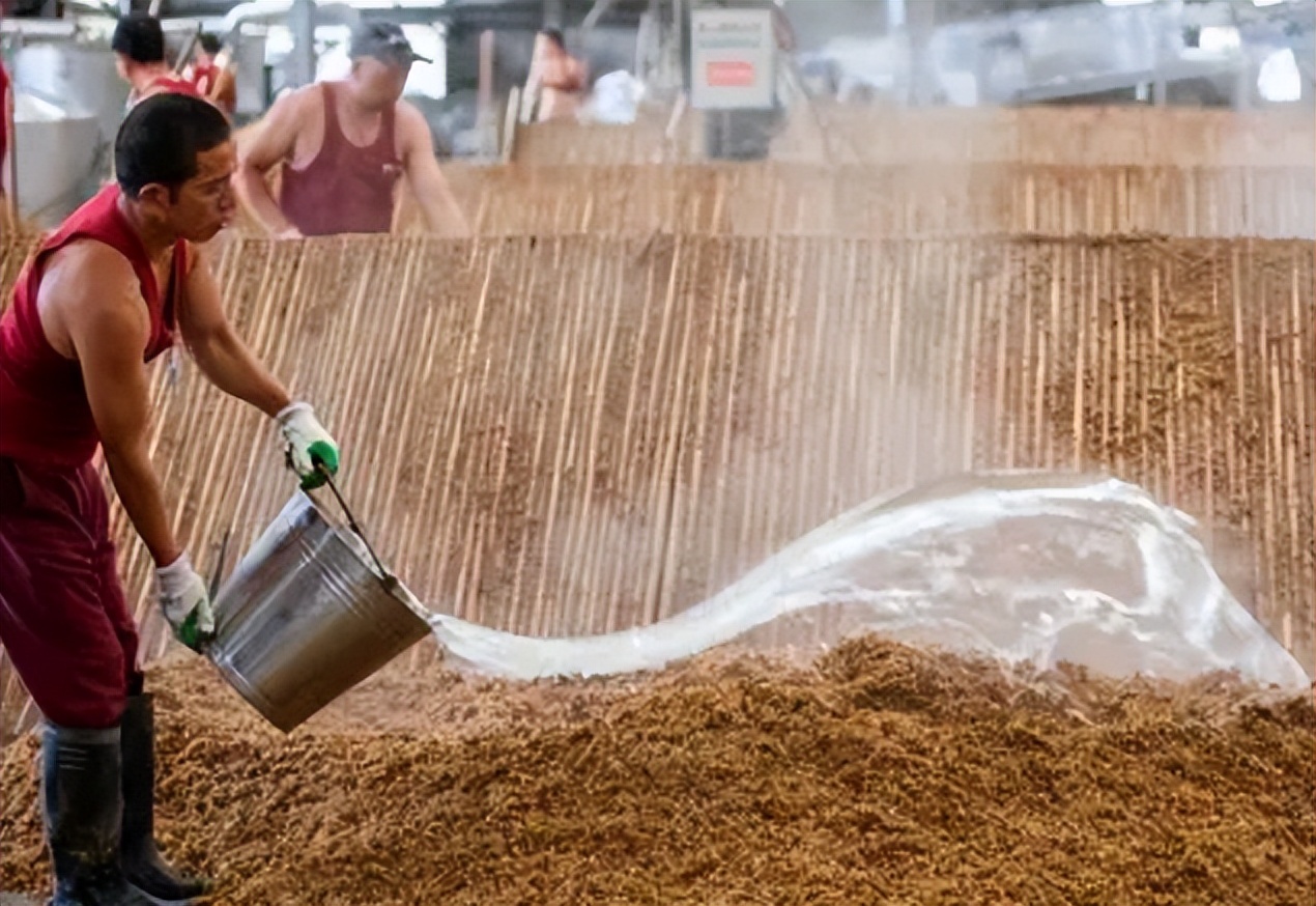 洋河酒是天之蓝好还是梦之蓝好,洋河酒天之蓝海之蓝梦之蓝哪个好
