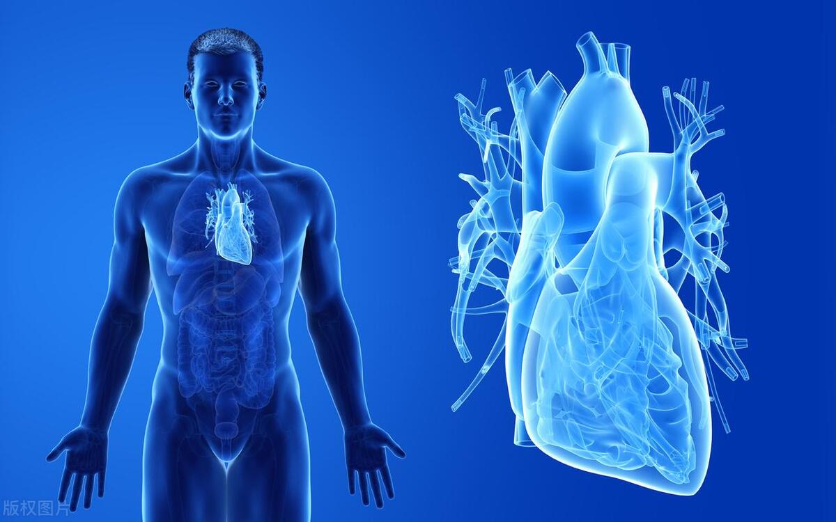 70岁公公每天吃孙子的蛋*粉白**，是营养品还是心血管杀手？一文说清