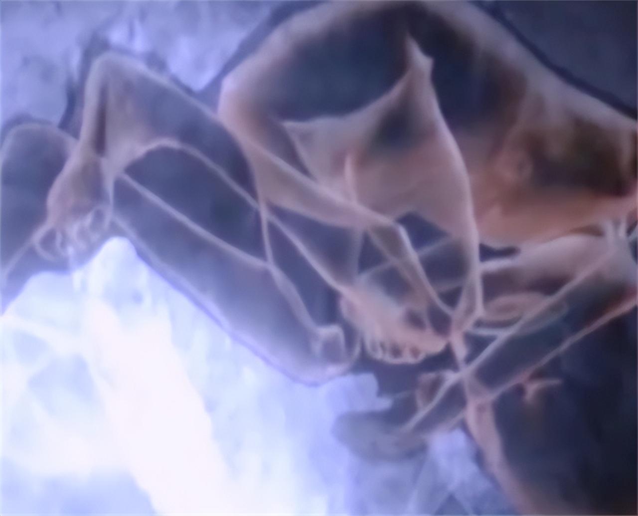 四川91岁老太怀孕生孩子了吗,91岁四川老太怀孕现在如何