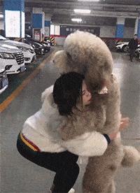 大街上看到的一幕万万想不到,大街上的一幕视频