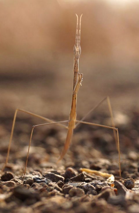 十大经典抓拍照片,100张绝美摄影照片