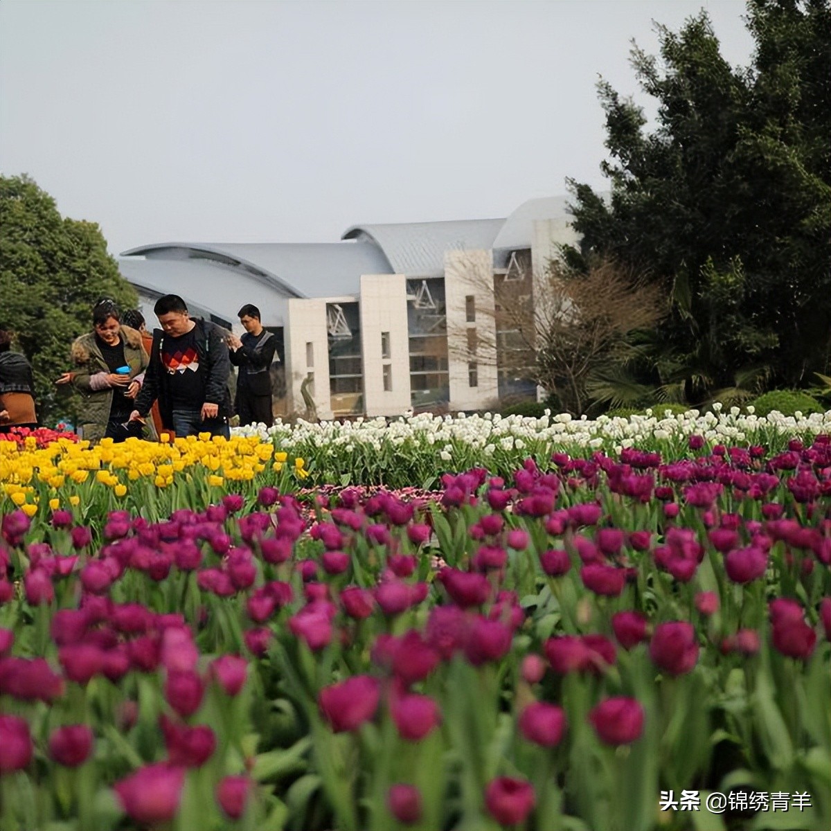 青羊区最美公园景点在哪里,5月份成都市区最美公园