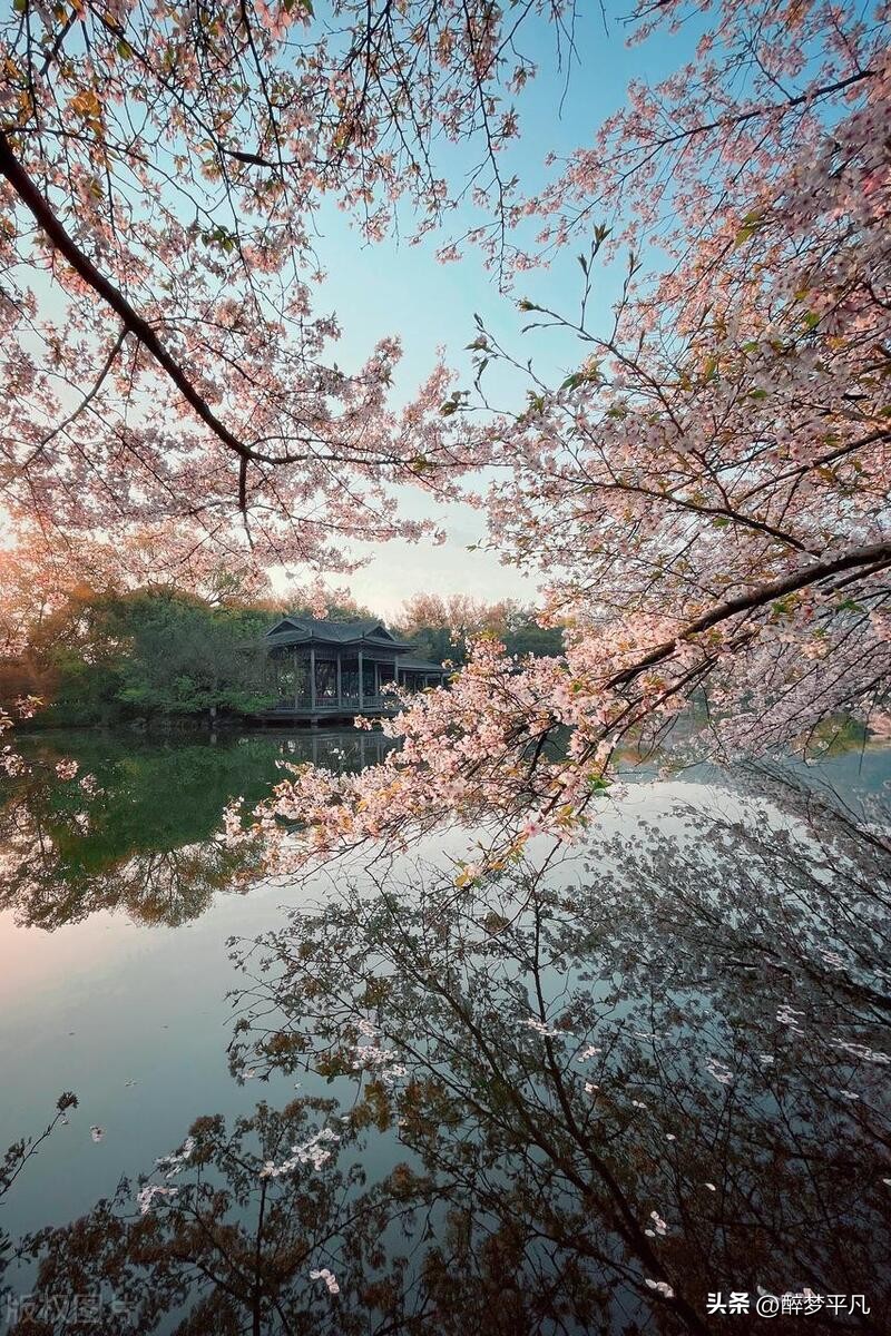 中国5a西湖,西湖5a景区