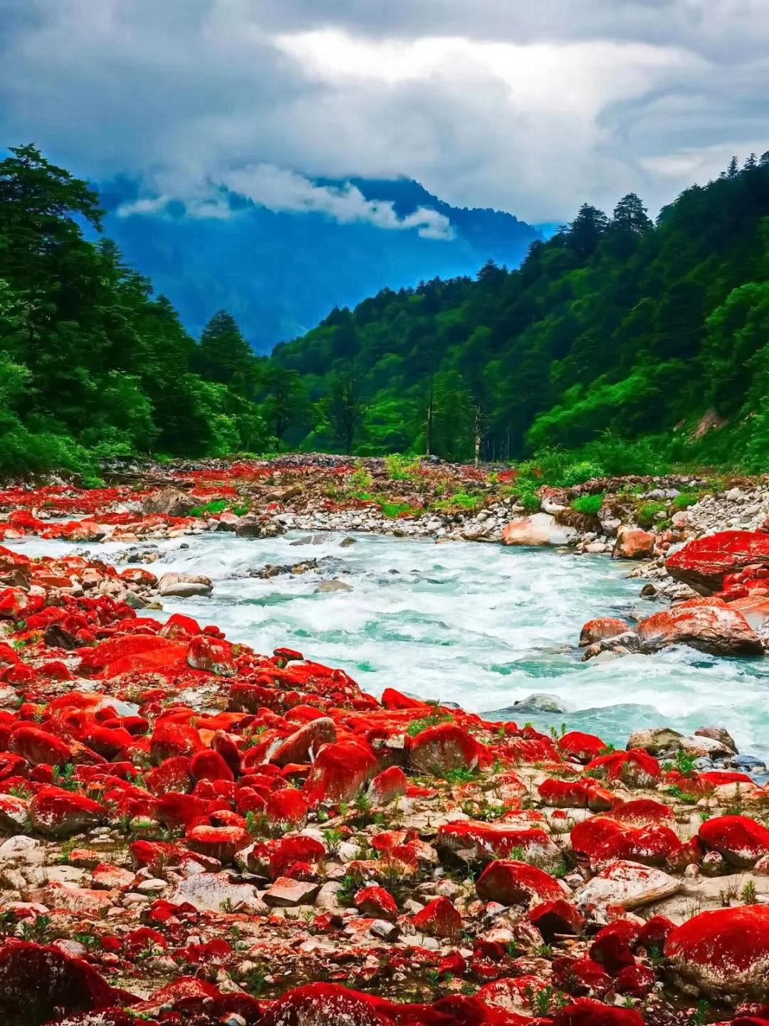 川西，不知启蒙了多少人对*藏西**的向往和渴望