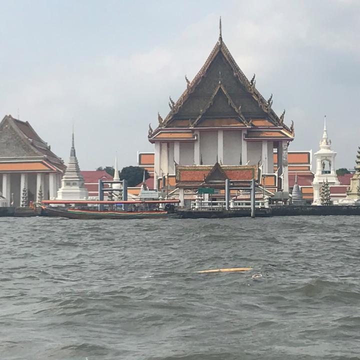 人人喊打的黄牛：日入十万，已退休