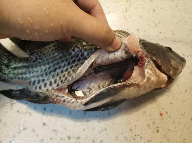 带香味的鱼,柴油味的鱼有什么危害