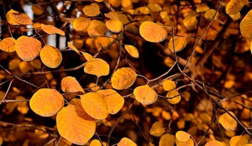 最孤独的境界无人与我立黄昏,人生最大的孤独莫过于