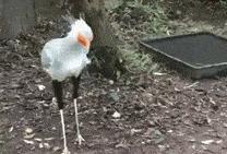 女婿和丈母娘搞笑对决,丈母娘对女婿发火搞笑视频