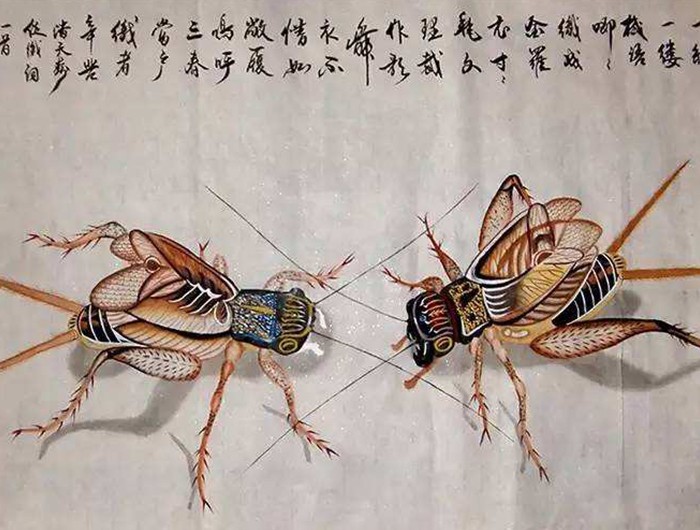 活了两亿年的虫子,活了亿万年的虫子