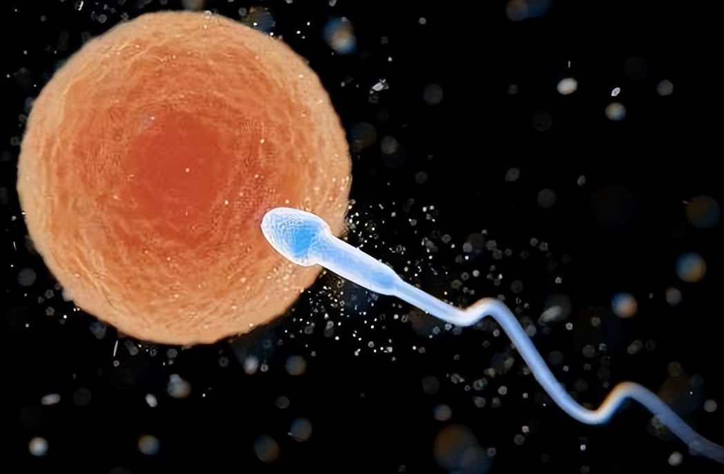 女性为什么渴望异性,为什么女性总是渴望丈夫爱她