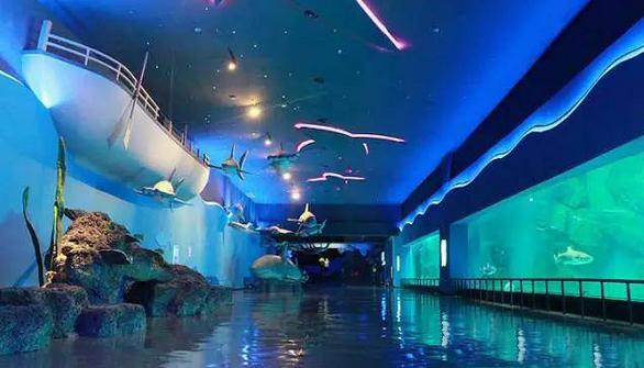 欧乐堡海洋极地公园攻略,欧乐堡最全游玩攻略请收好