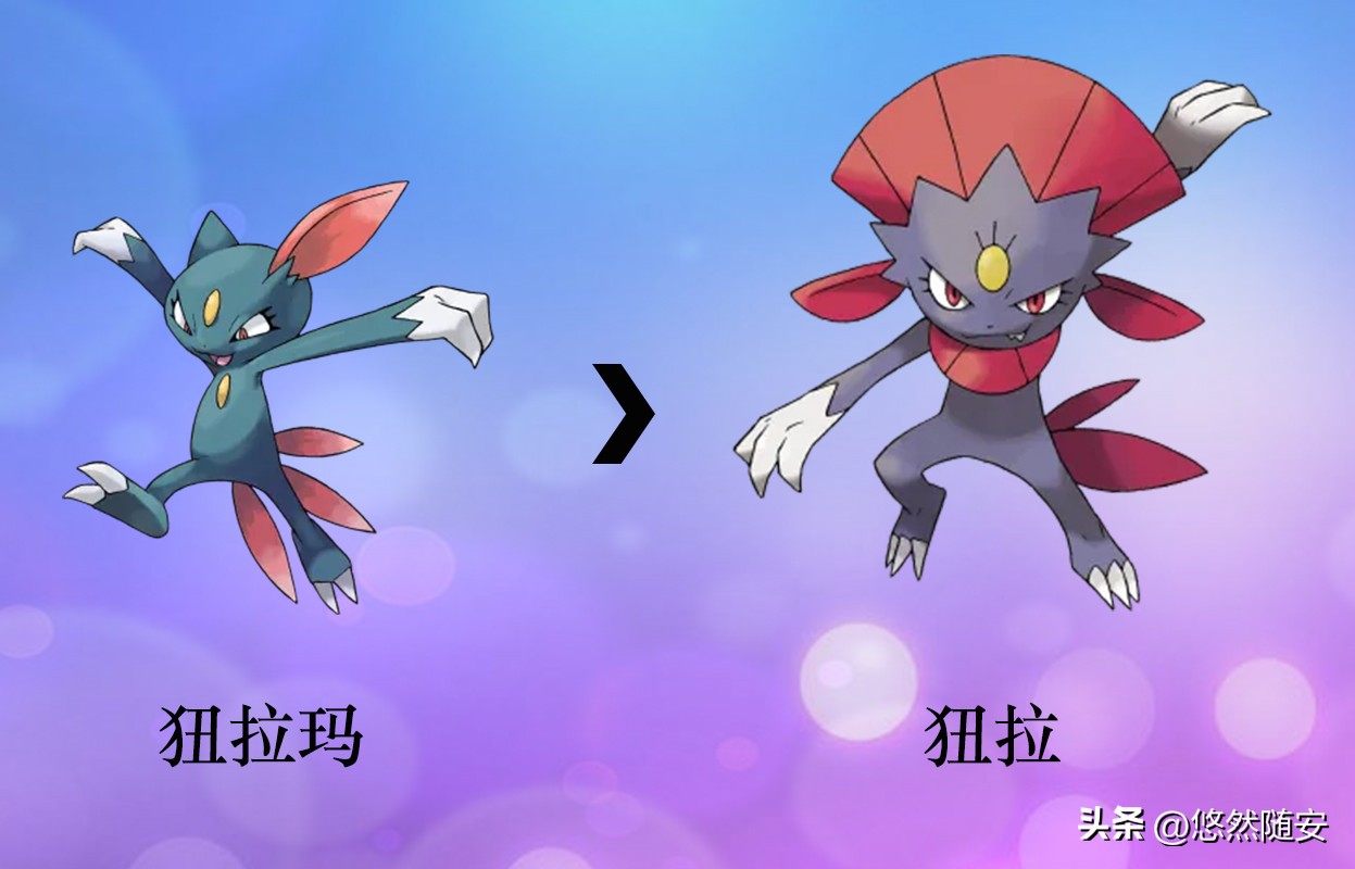 宝可梦伊布全部进化形态,宝可梦剑盾泪眼蜥进化形态