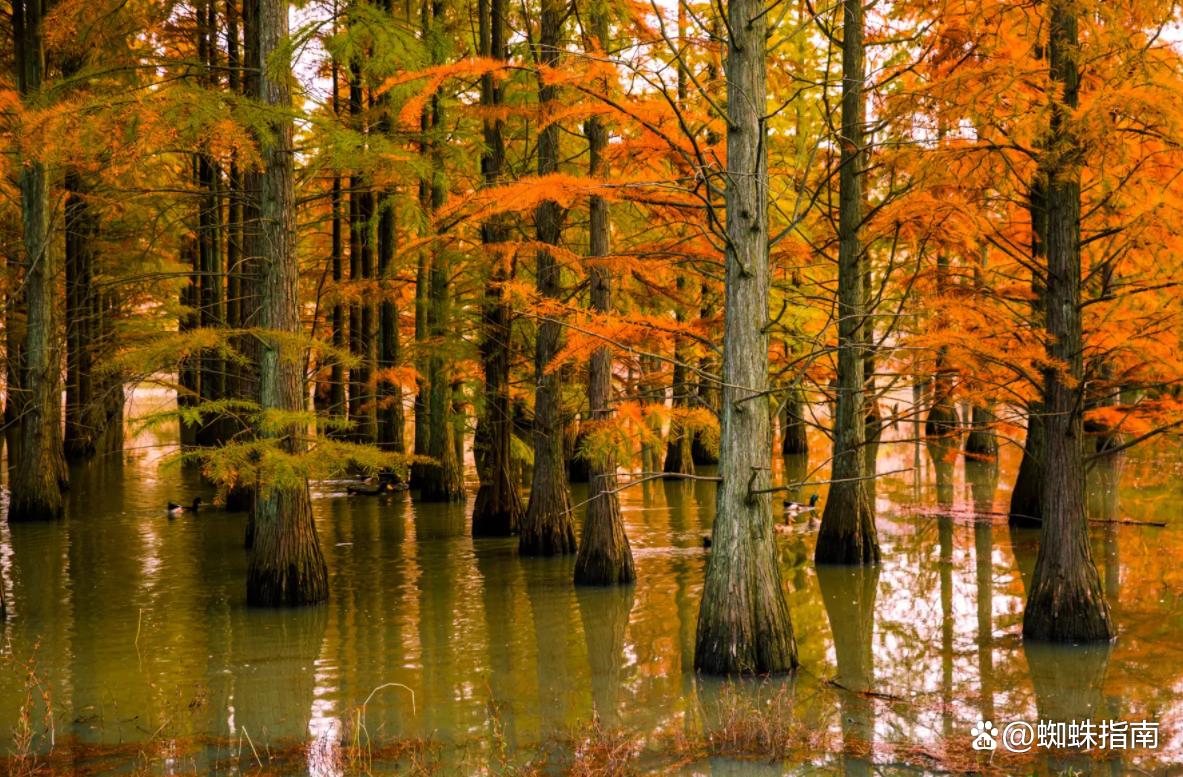 南京宝藏旅游打卡地,南京一日游宝藏街区