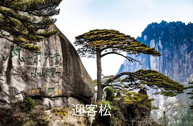 黄山市旅游排名,秀美黄山风景