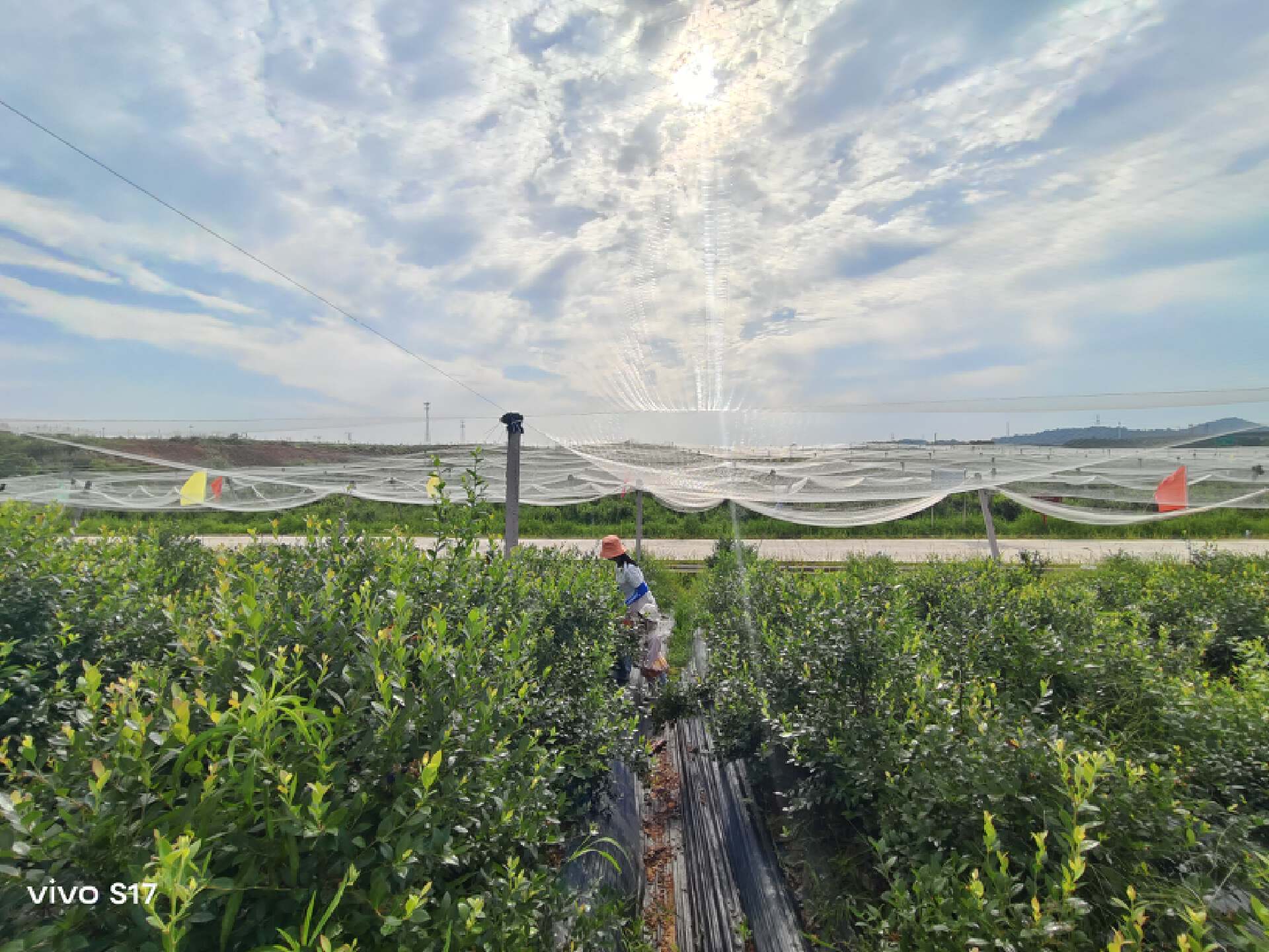 vivos17功能详细介绍,vivoS17系列正式发布