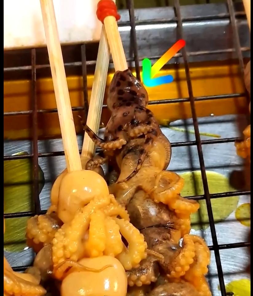 世界上最具致命毒性的动物,世界上最恐怖的10种有毒动物