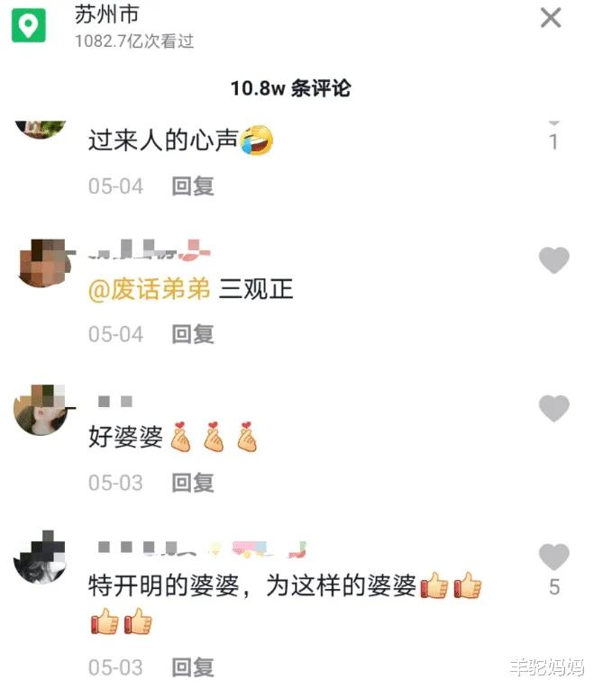 “不生二胎，传宗接代没意义”，三观超正婆婆，获200万网友盛赞