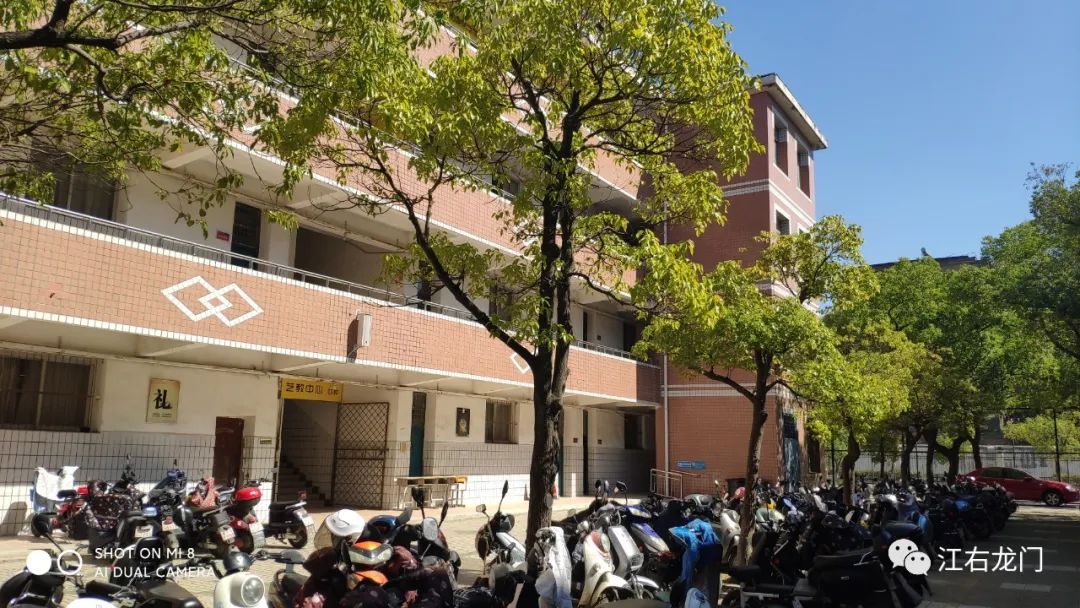 一枝一叶总关情原文,一枝一叶总关情全诗朗诵