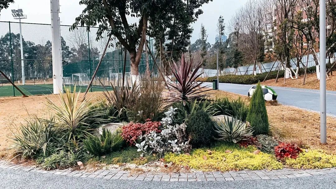 成都成华城东体育公园,成都成华体育公园