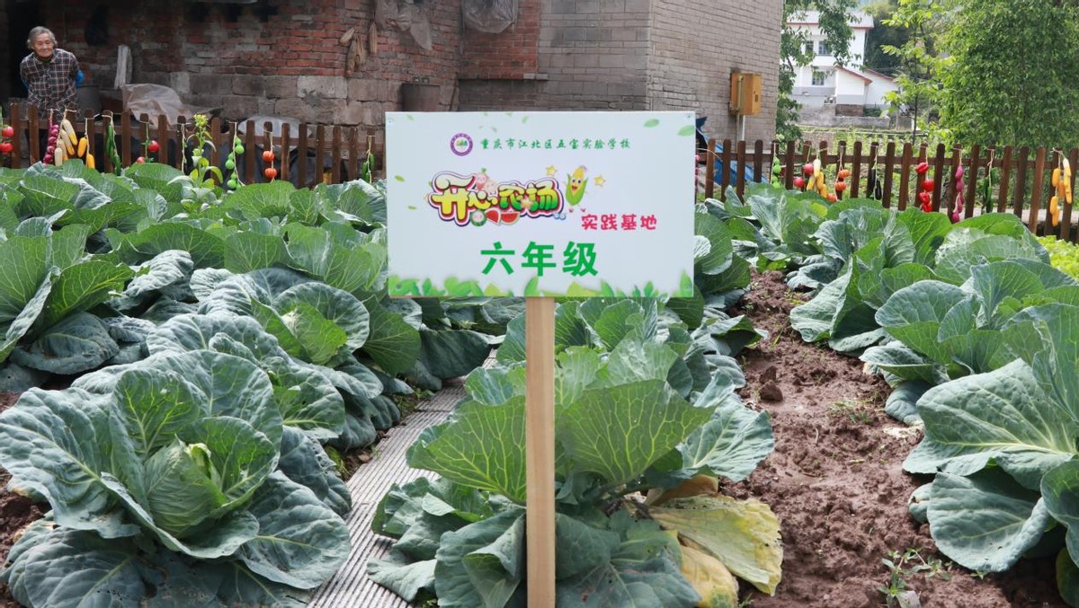 课后服务小学生特色课程,中小学课后服务工作