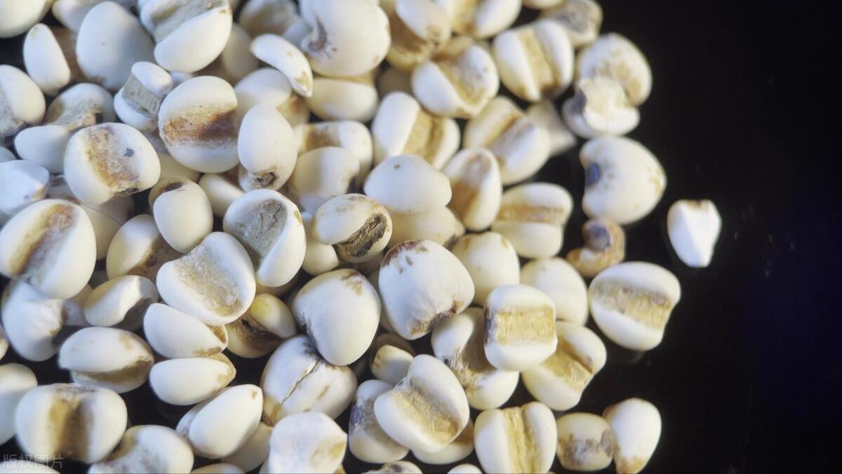 身体湿气重吃哪些药可以排出湿气,夏天湿气重这6种食物有助祛湿