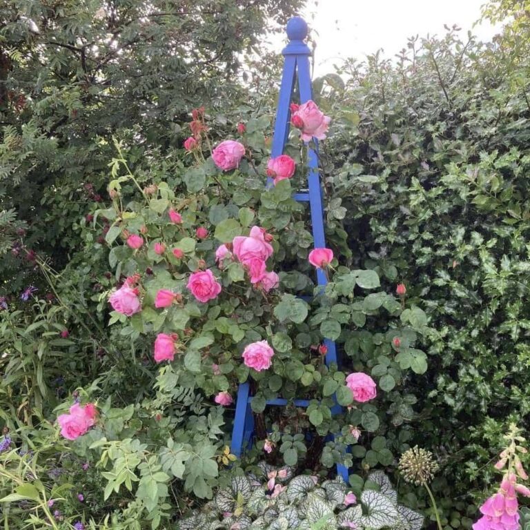 庭院花盆设计效果图,简单实用庭院花园造型图片大全