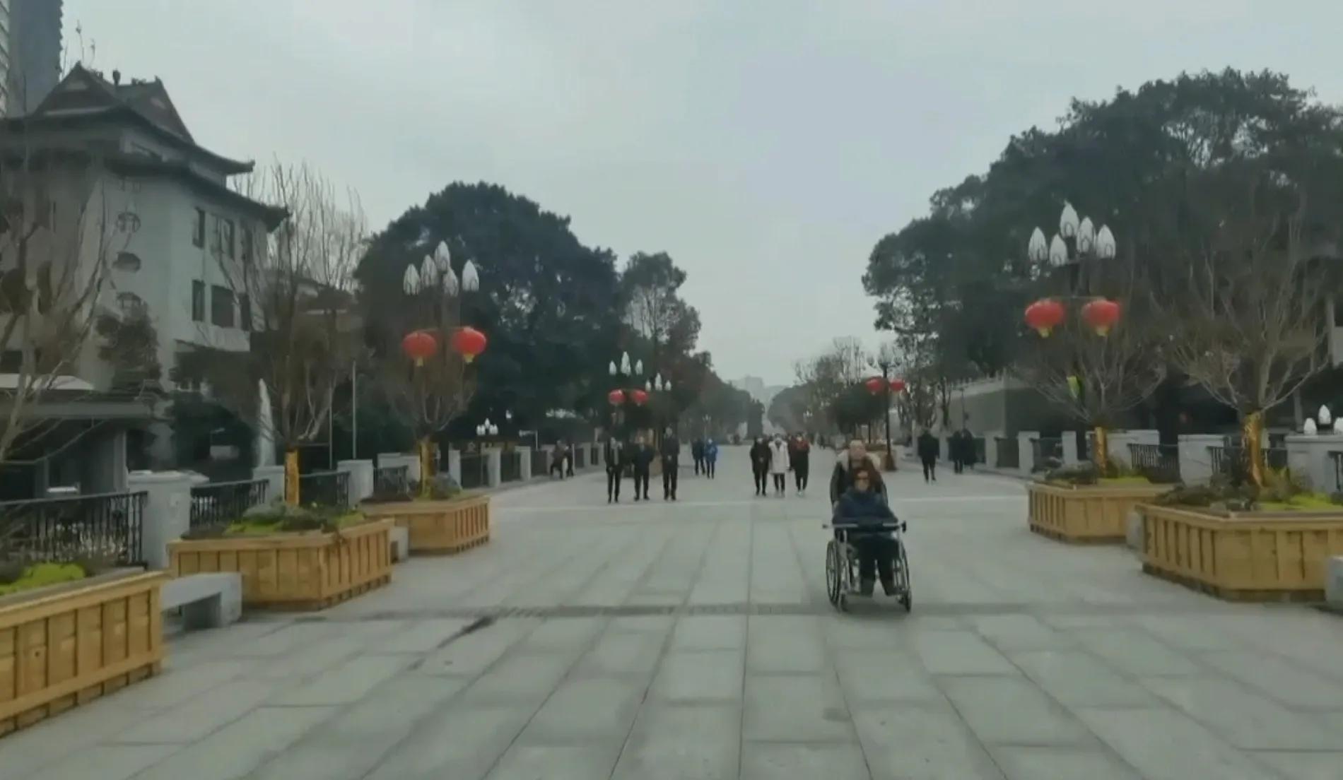 春游开拓眼界,春游樱花广场图片