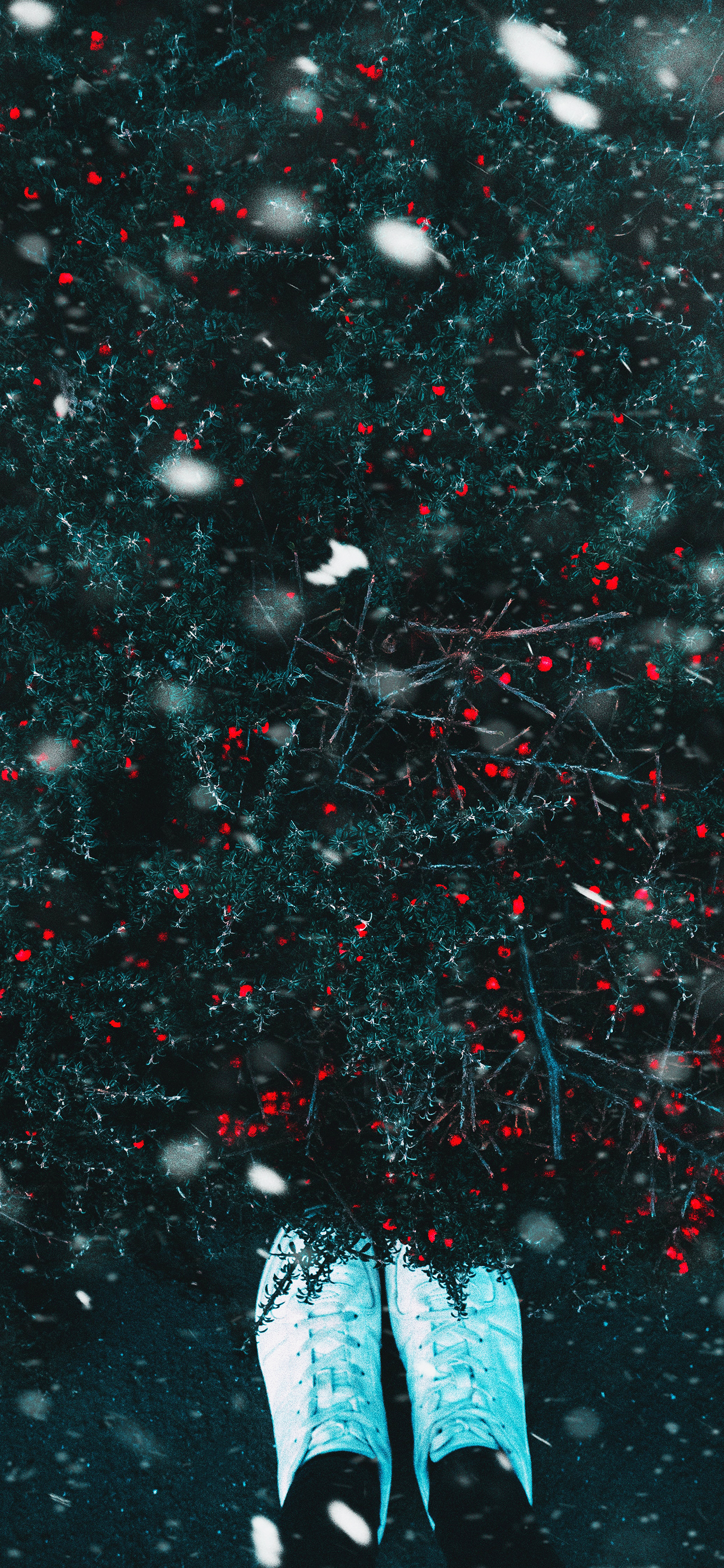 雪天唯美壁纸,雪天壁纸手机高清全屏