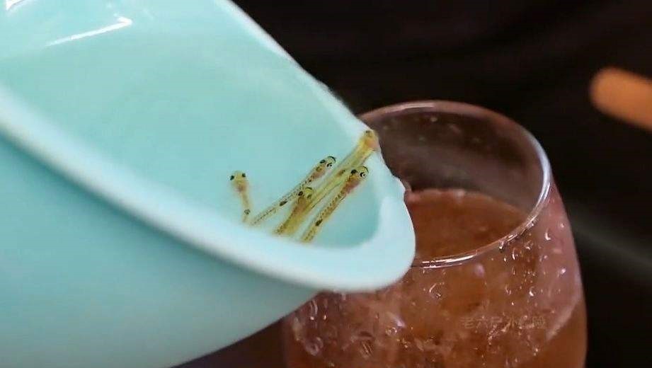 日本黑暗料理活鱼饮料,日本饮料活鱼仔