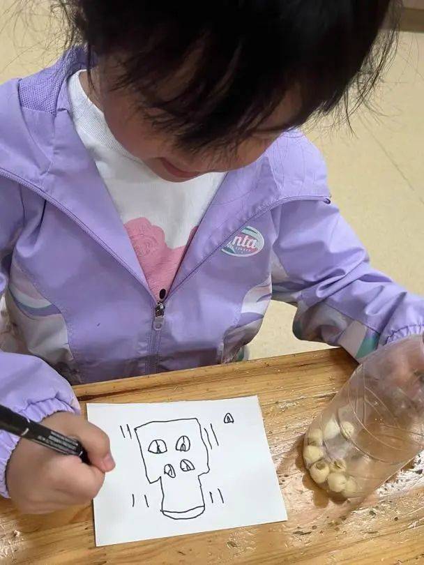 幼儿园感官游乐园主题,幼儿园感官游乐园主题课程