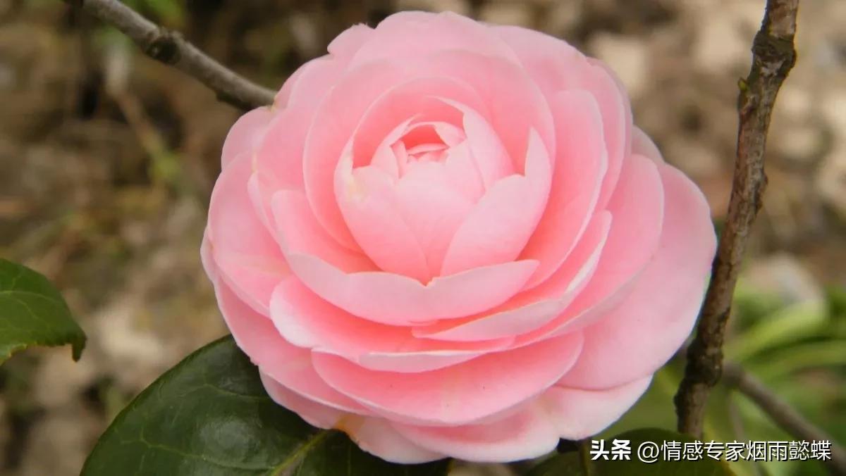 明白朋友圈定律后才懂得如何社交,最惊人的朋友圈定律