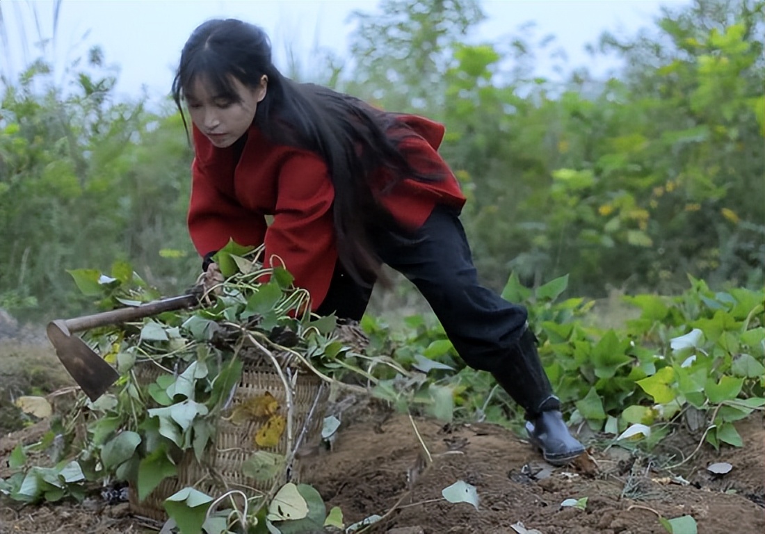 李子柒视频最新外网评论,李子柒最新视频外网评论