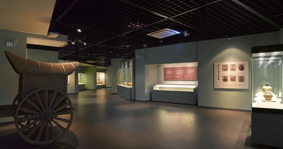 走进博物馆观赏历史长河,从展厅到文化客厅彰显博物馆力量