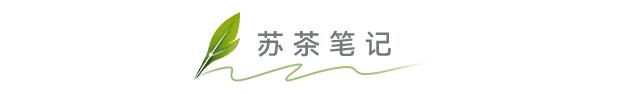 茶叶知识常识介绍大全,茶叶的基本知识大全有哪些