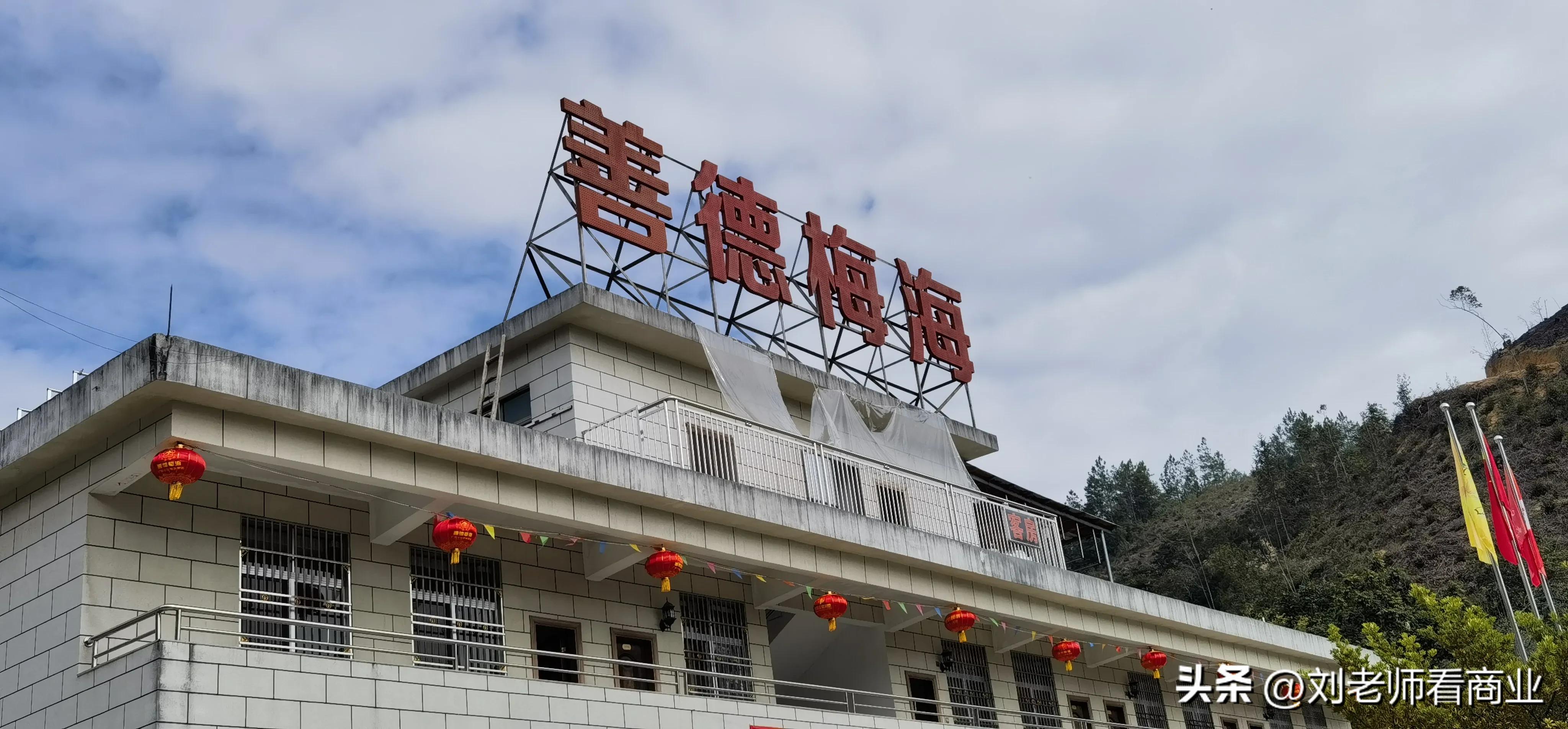 普宁老仙洞梅花盛开,普宁赏梅花最佳地点