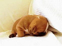 轻松一刻别跟我耍心眼,轻松一刻看你能找出几处不同