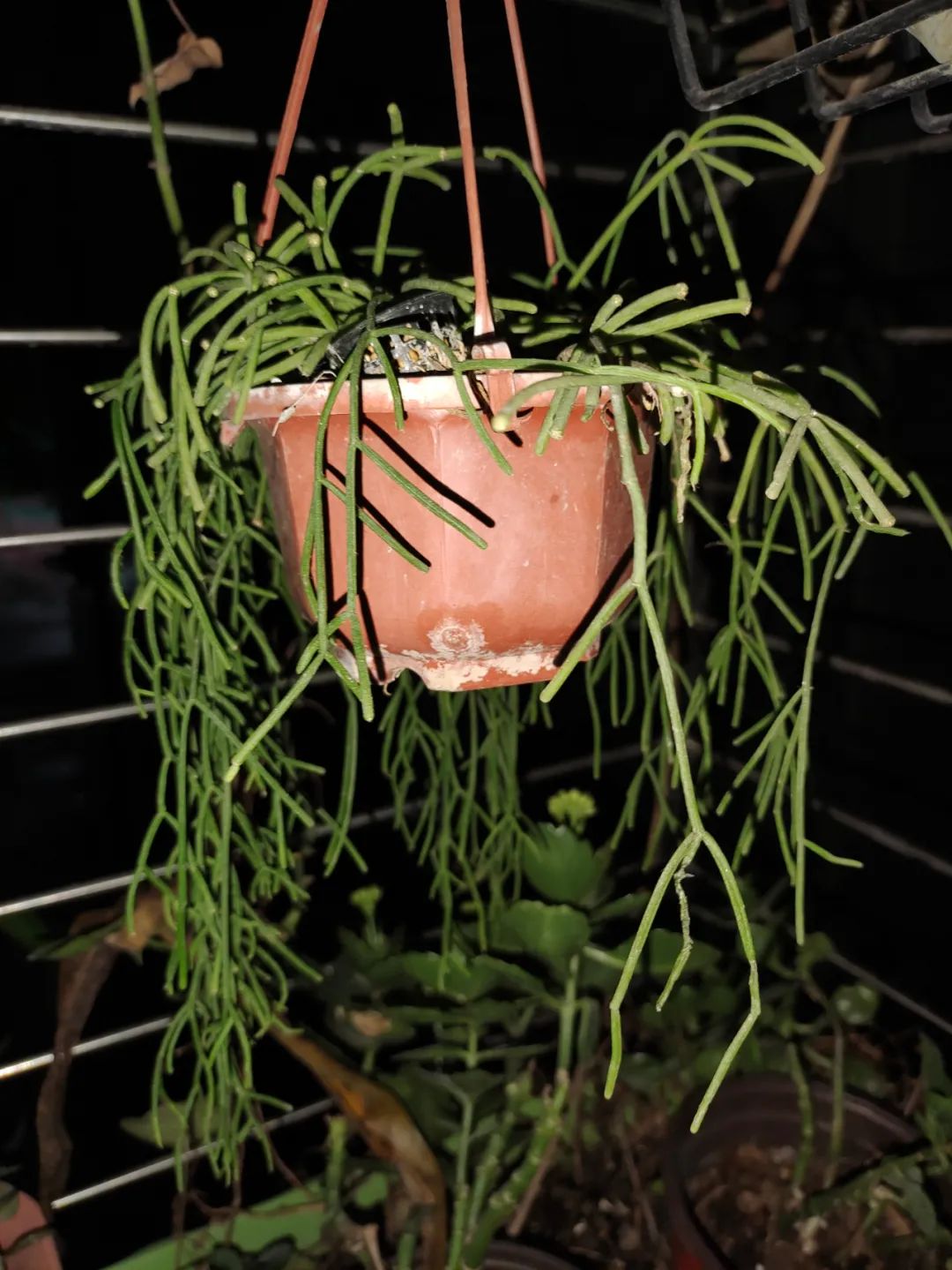 养花好物神器,花友必备神器