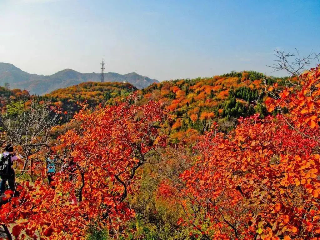 妙峰山赏秋攻略,北京赏秋景沿途路线
