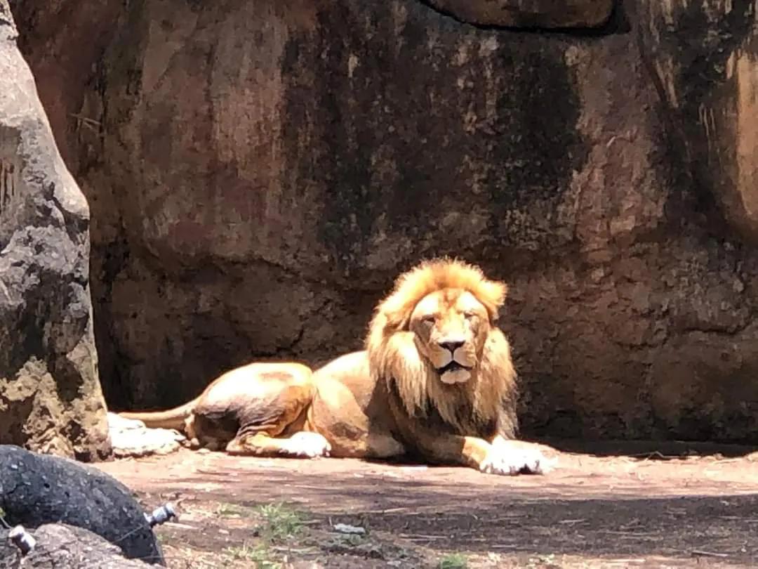 危地马拉的著名风景,危地马拉的首都游玩
