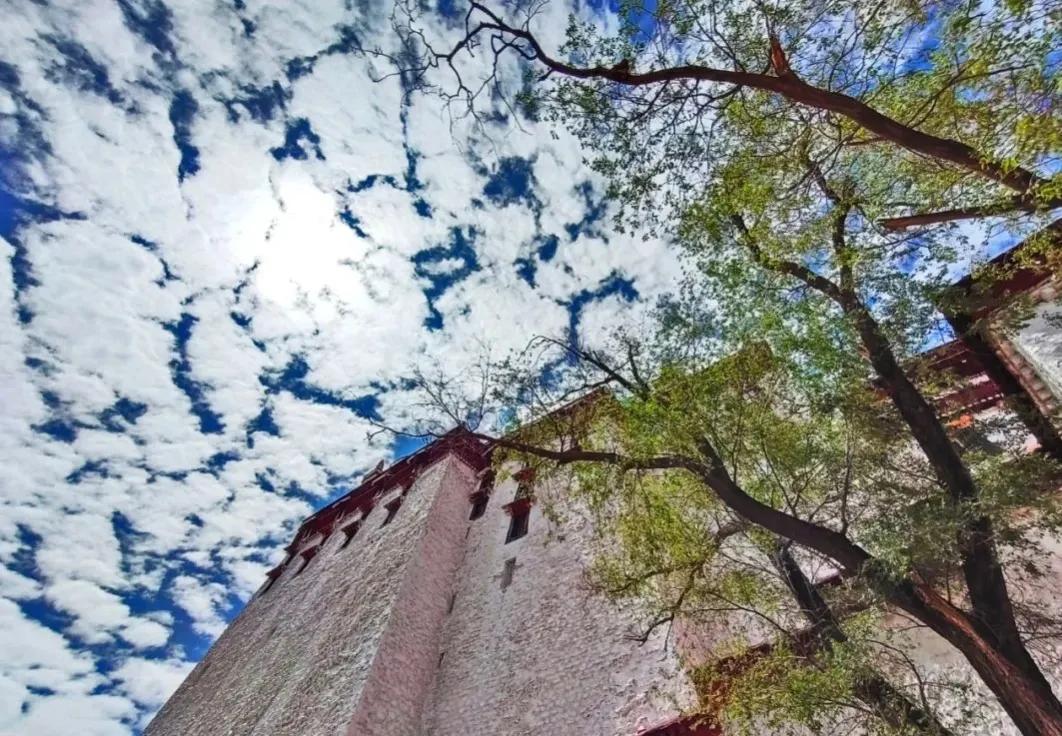 拉萨布达拉宫一万元可以玩下来不,拉萨布达拉宫海拔高度是多少米