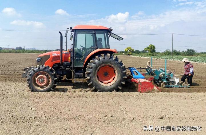 同频共振促发展勠力同心齐奋进萧山萝卜干的“精神共富”之路