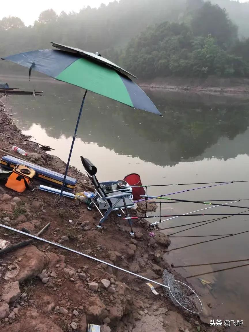 新手入坑台钓钓鱼,新手钓椅推荐