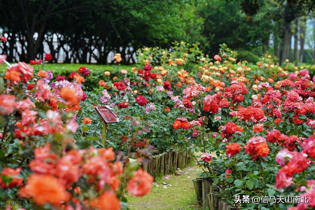 在钻井队上班有前途吗,钻井队临时工和正式工待遇