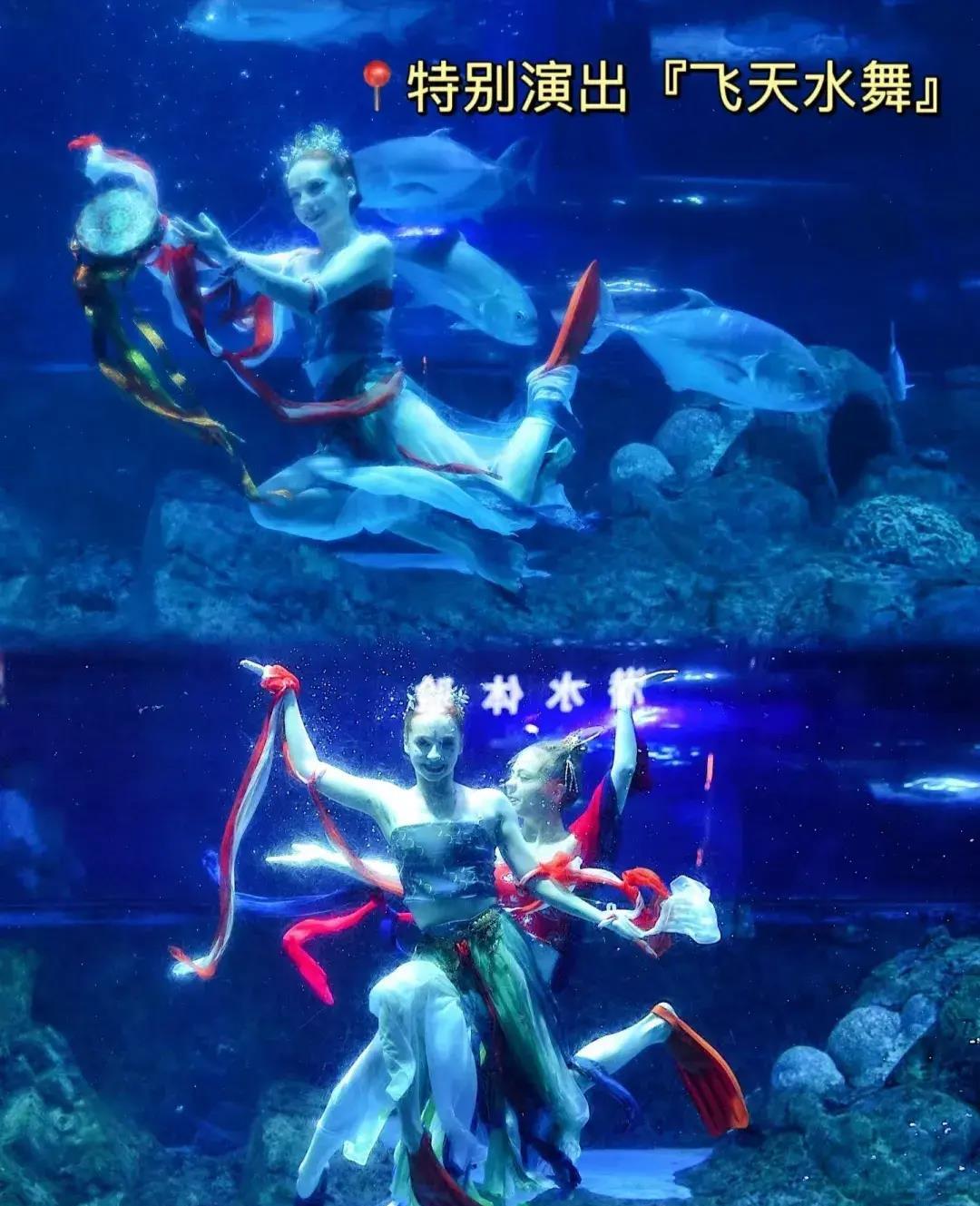 南京海底世界自驾游攻略,南京海底世界海底秀