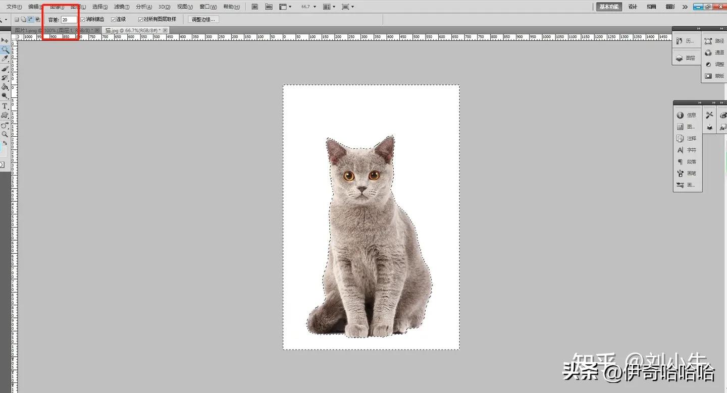 photoshop第一课魔棒工具,ps入门基础教学套索工具