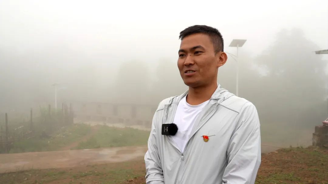 绿春乡村振兴,绿春乡村振兴工作