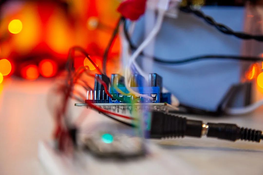 家里猫咬电线怎么办,小狗咬电线会电死吗